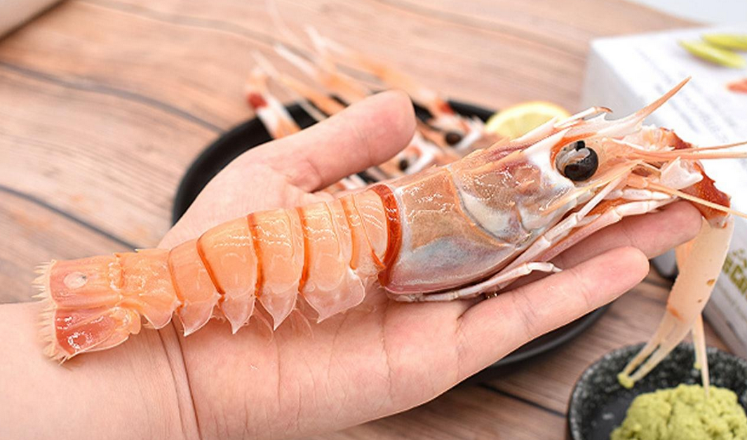 海虾一般种类有哪些？哪些最具经济价值